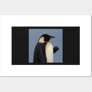 Emperor Penguin Conductor Posters and Art